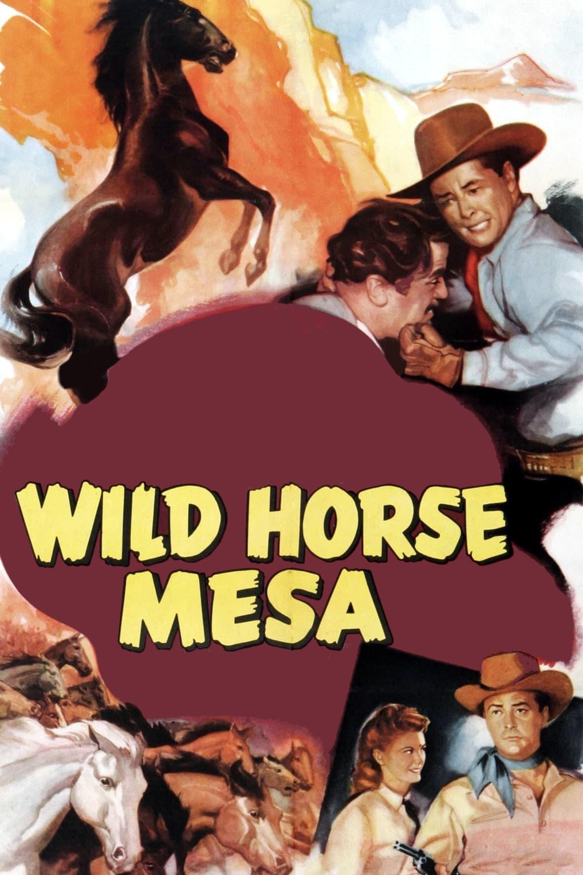 Wild Horse Mesa poster