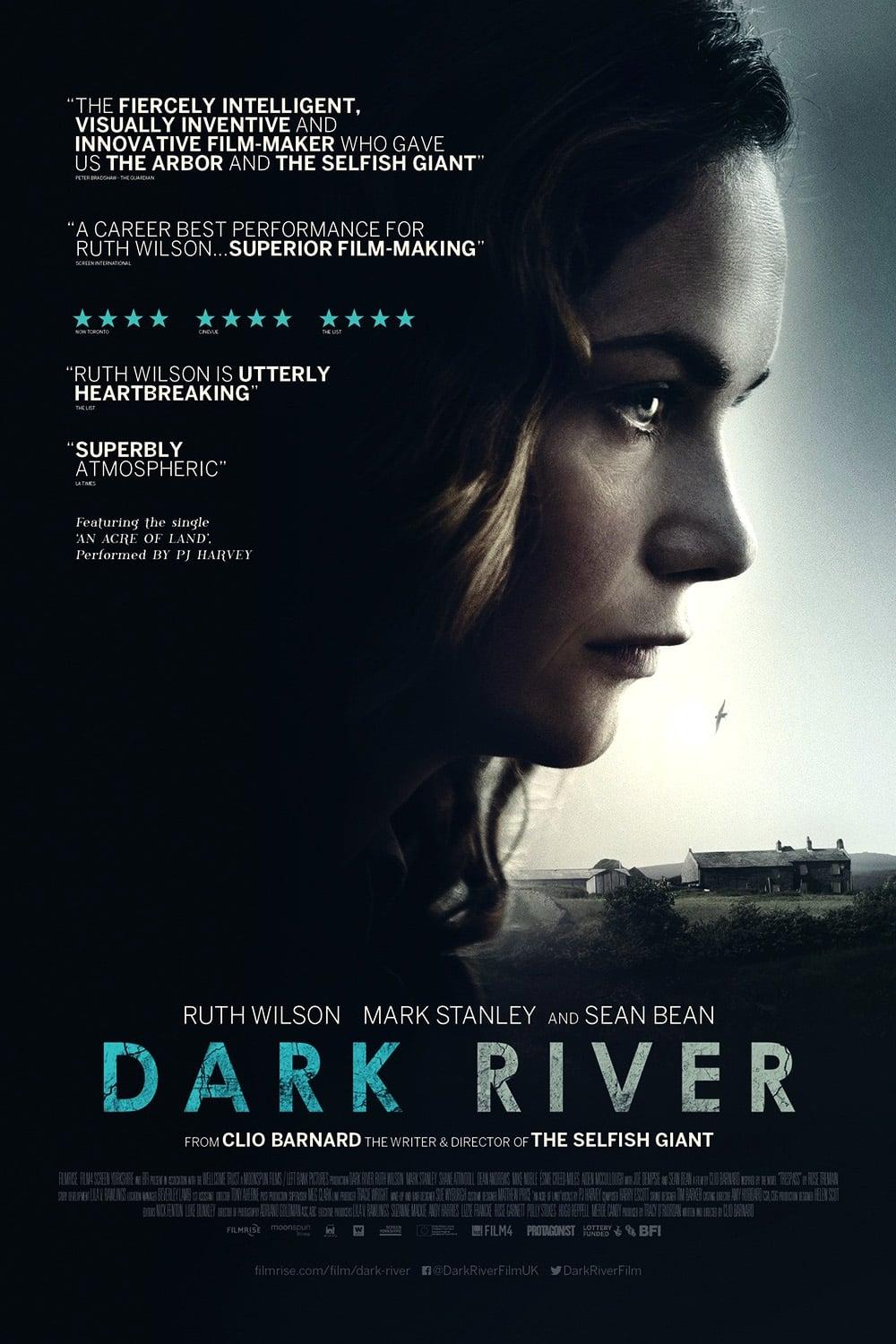 Dark River poster