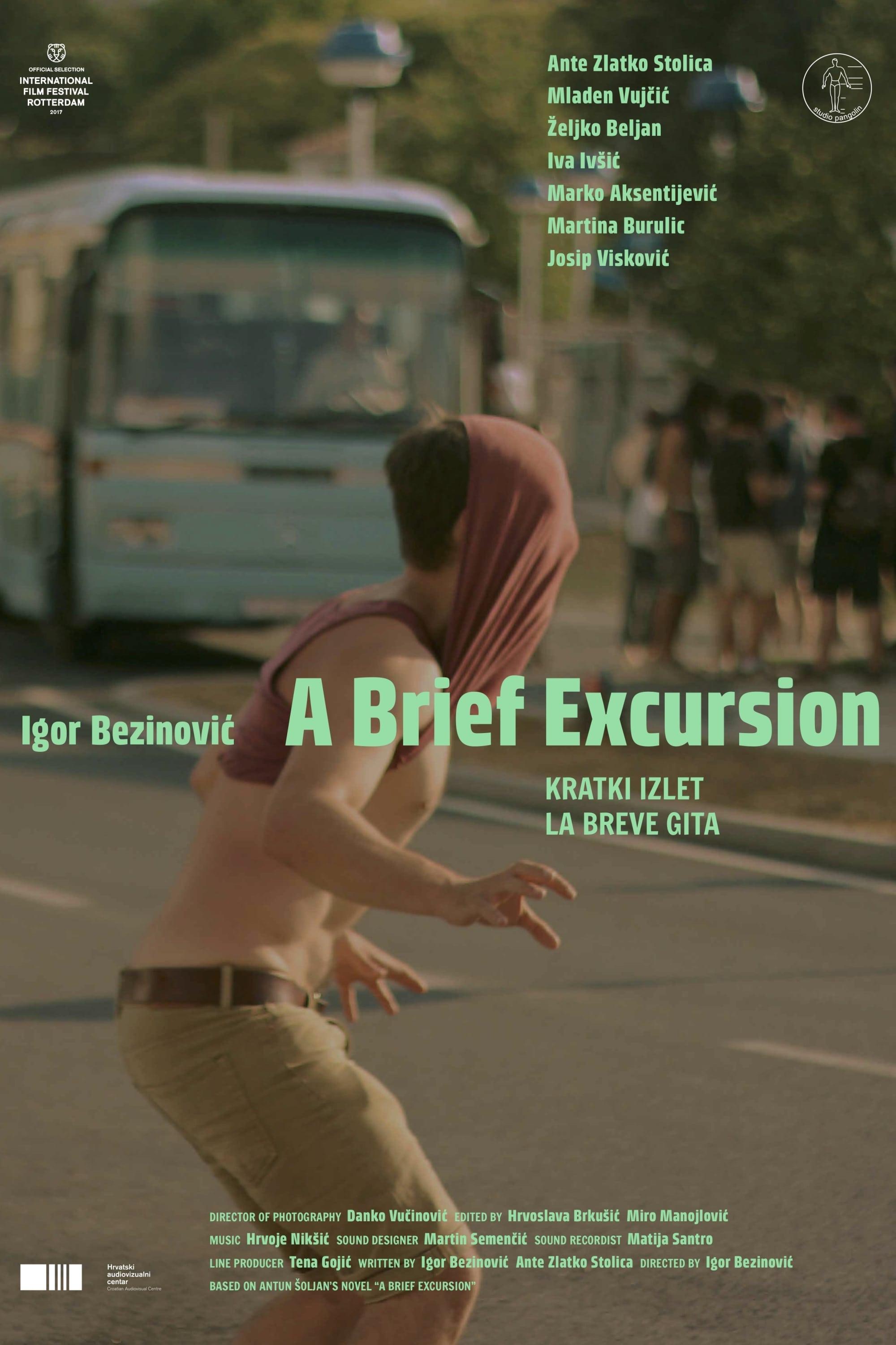 A Brief Excursion poster