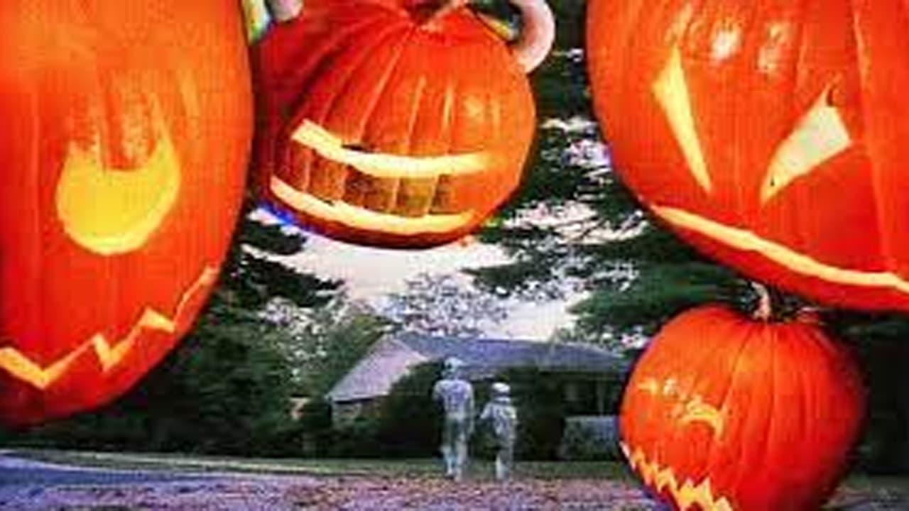 The Adventures of Pete & Pete: Halloweenie backdrop