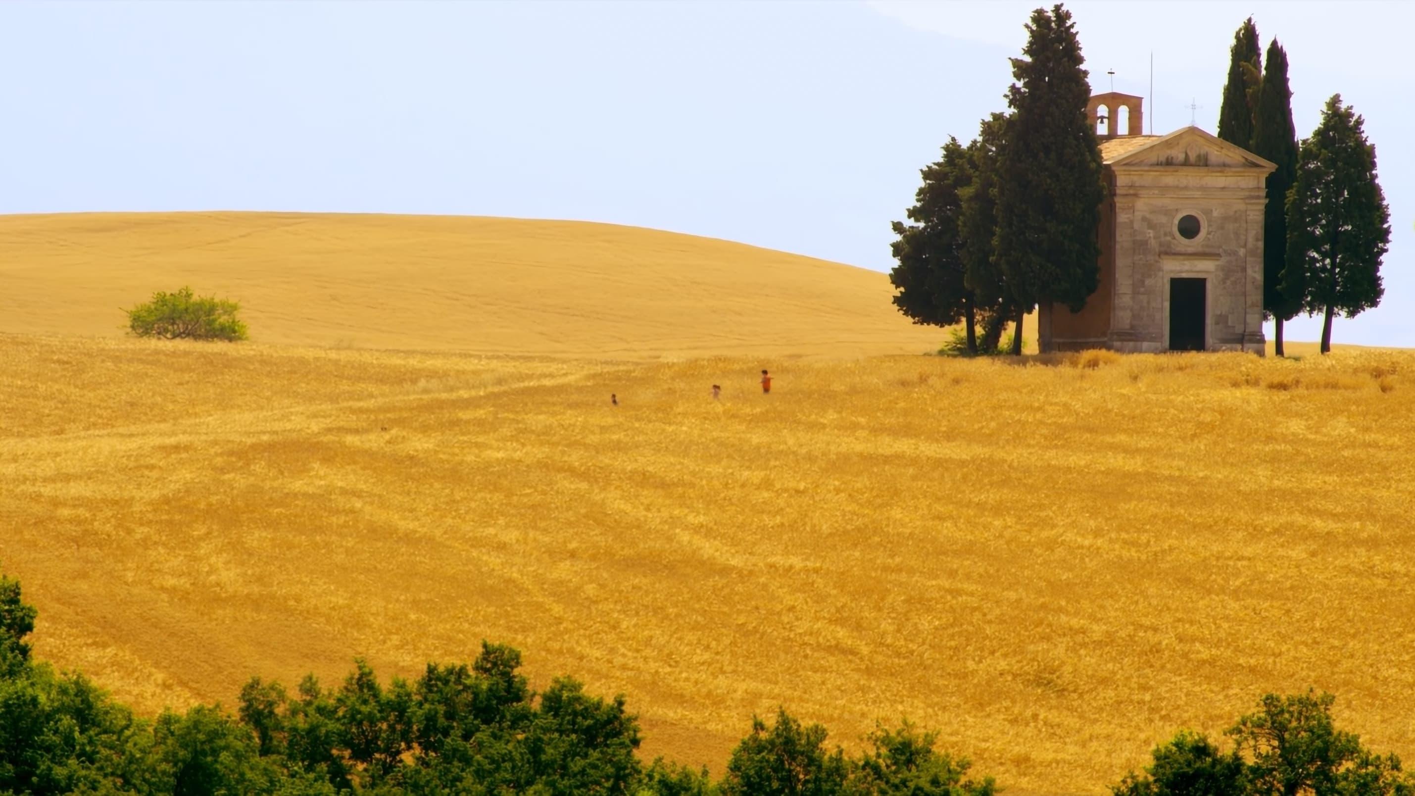 Mare di grano backdrop