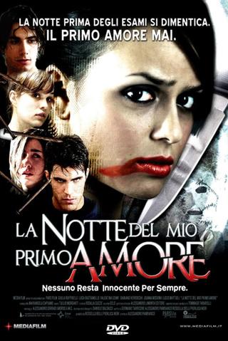 La notte del mio primo amore poster