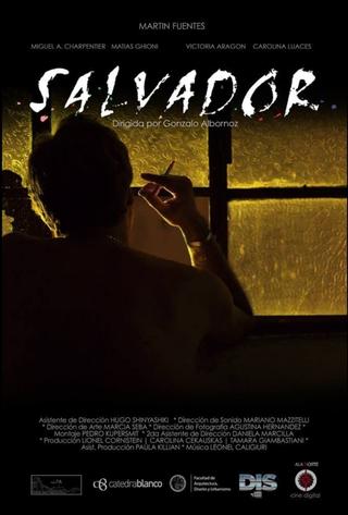 Salvador poster