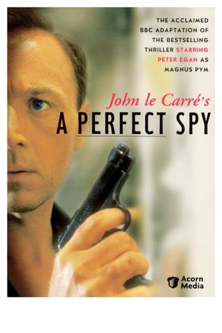 A Perfect Spy poster