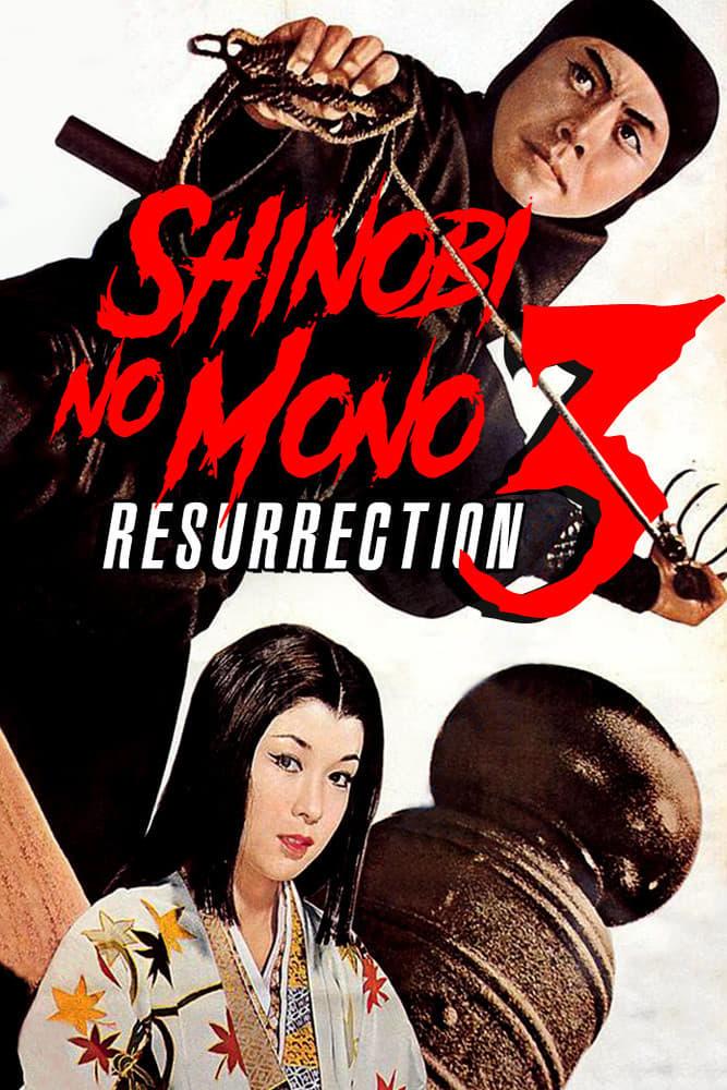 Shinobi no Mono 3: Resurrection poster