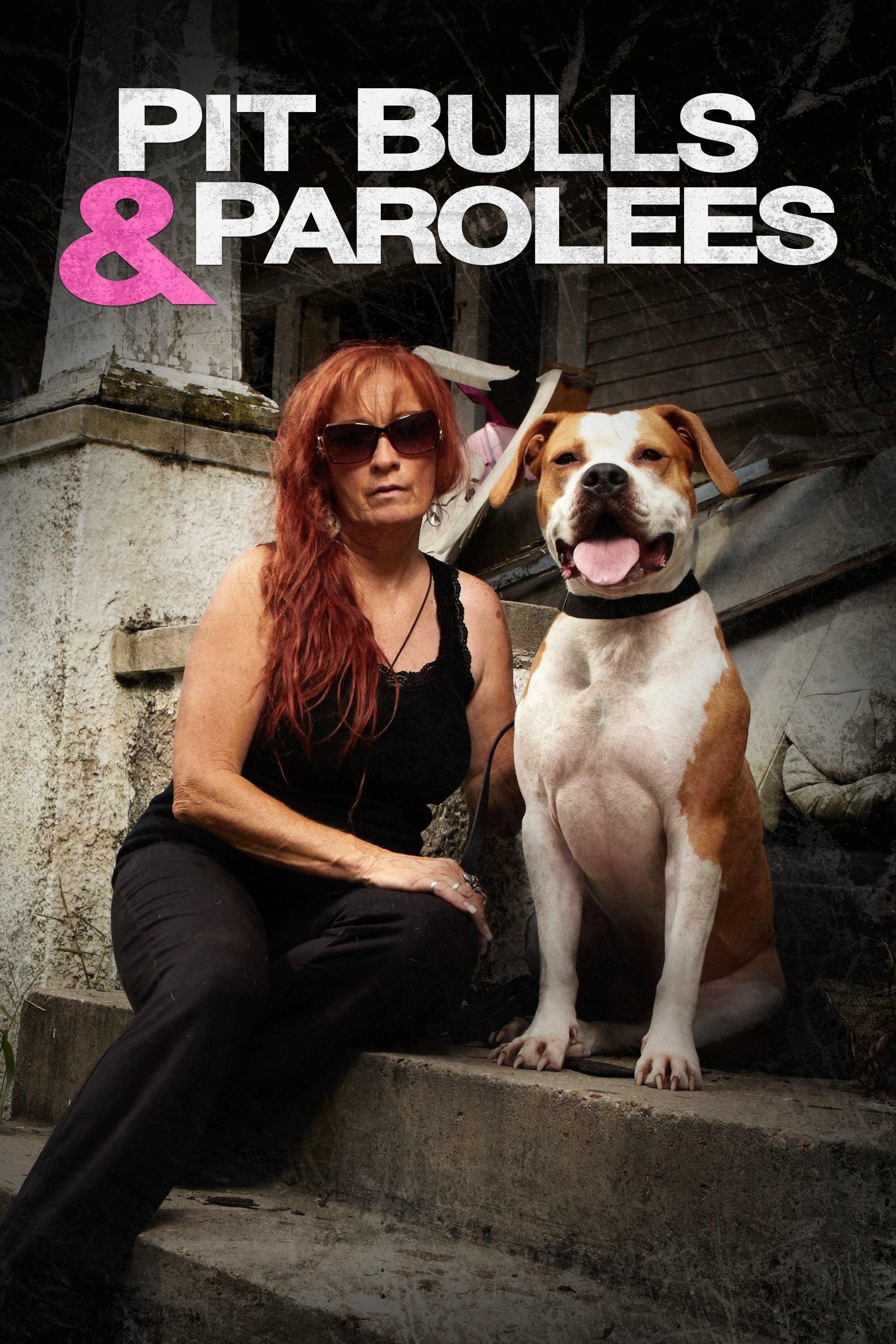 Pit Bulls and Parolees poster