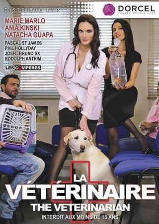La Vétérinaire poster