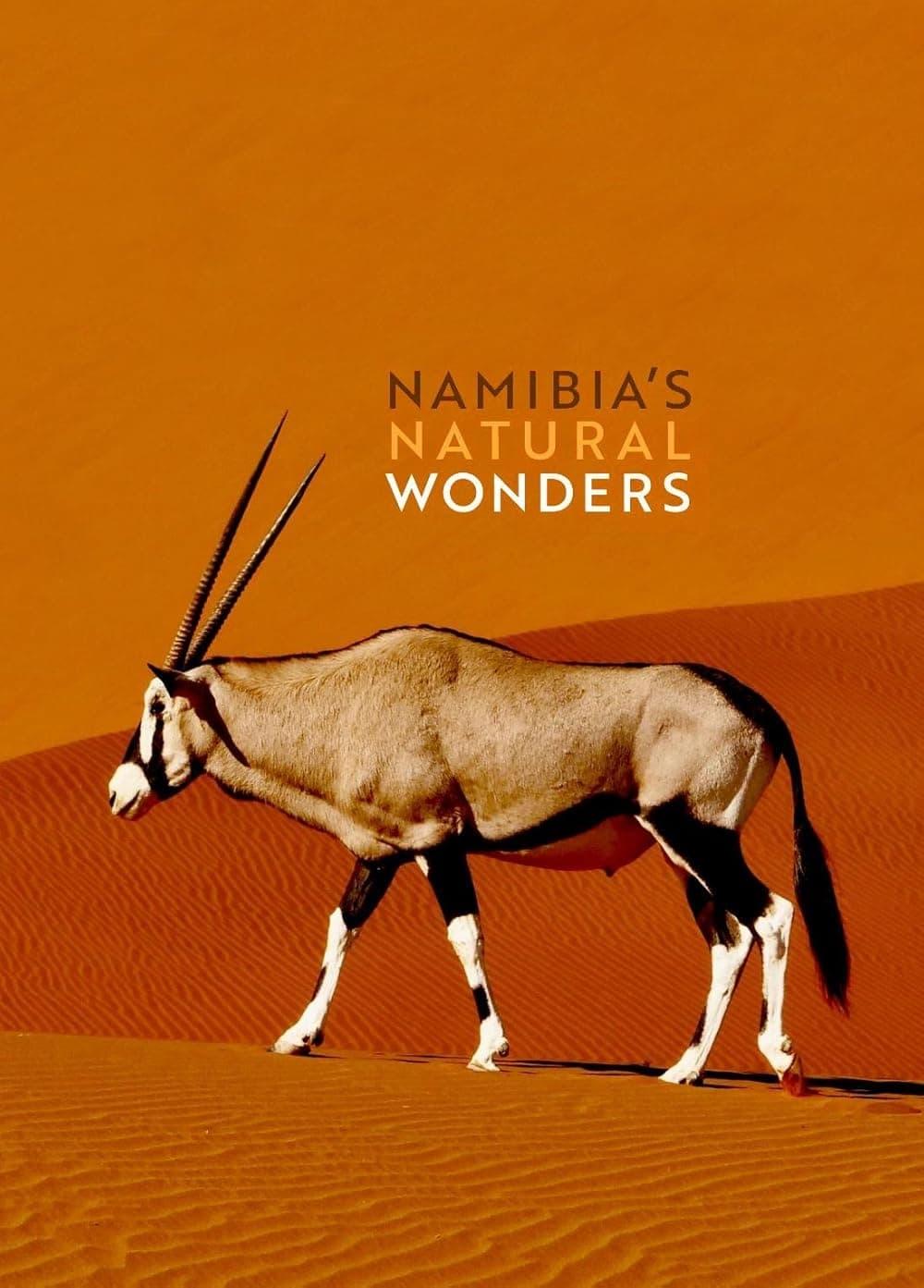 Namibia's Natural Wonders poster