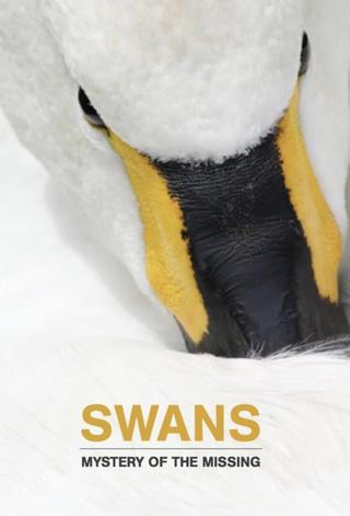 Swans: Mystery of the Missing poster