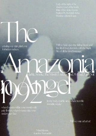 The Amazonian Angel poster