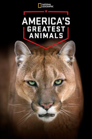 America's Greatest Animals poster