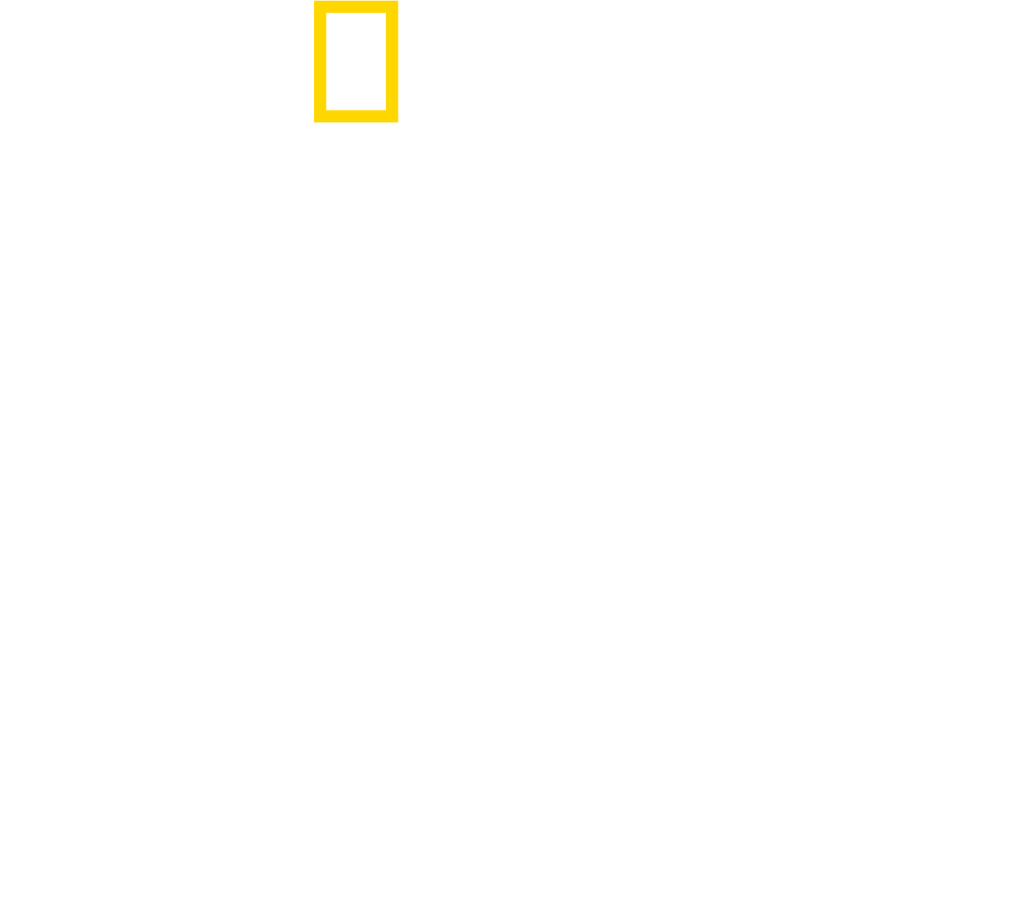 The Real Right Stuff logo