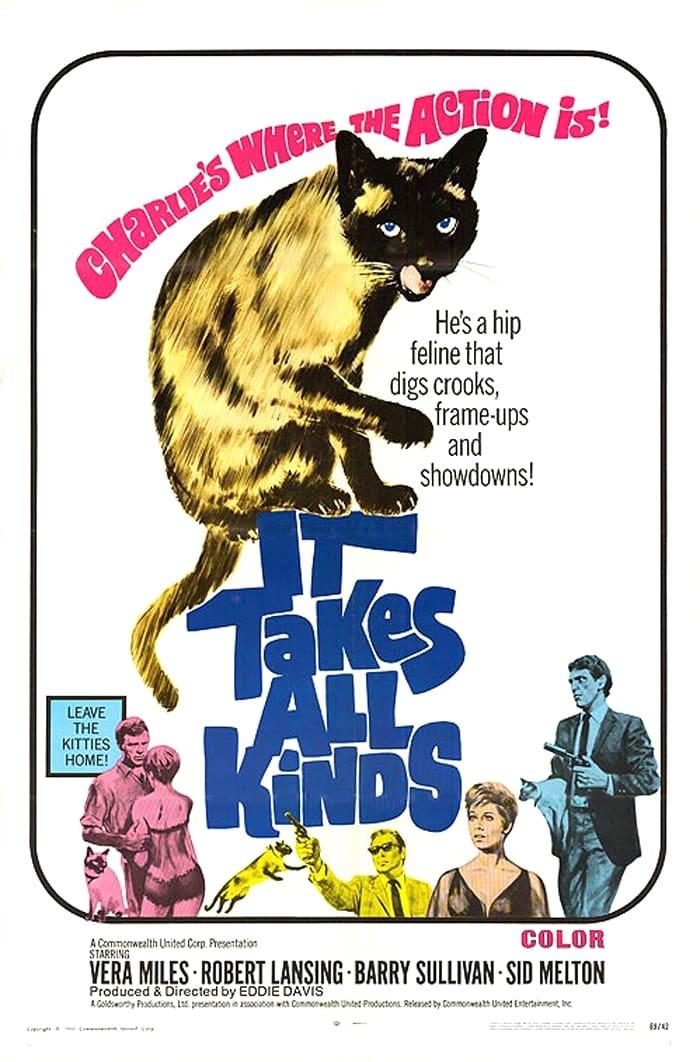 It Takes All Kinds poster