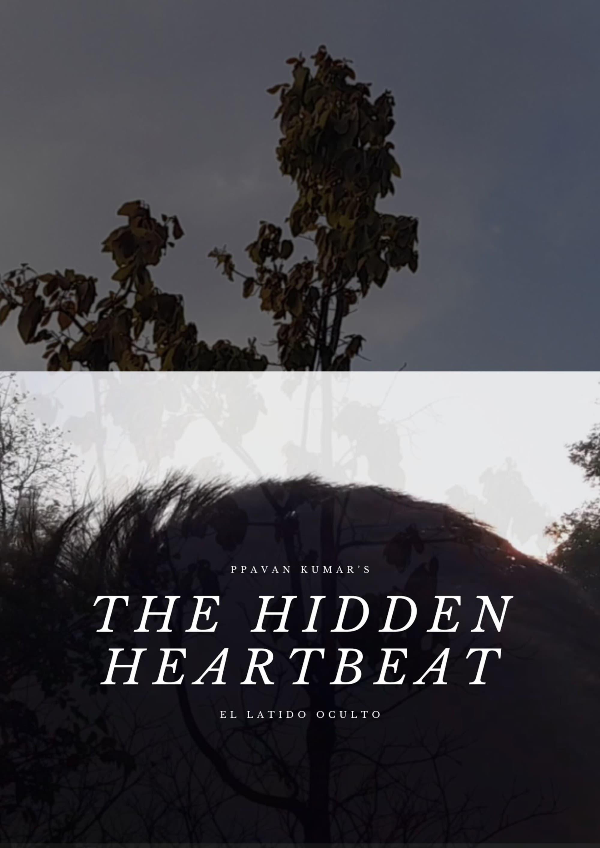 THE HIDDEN HEARTBEAT poster