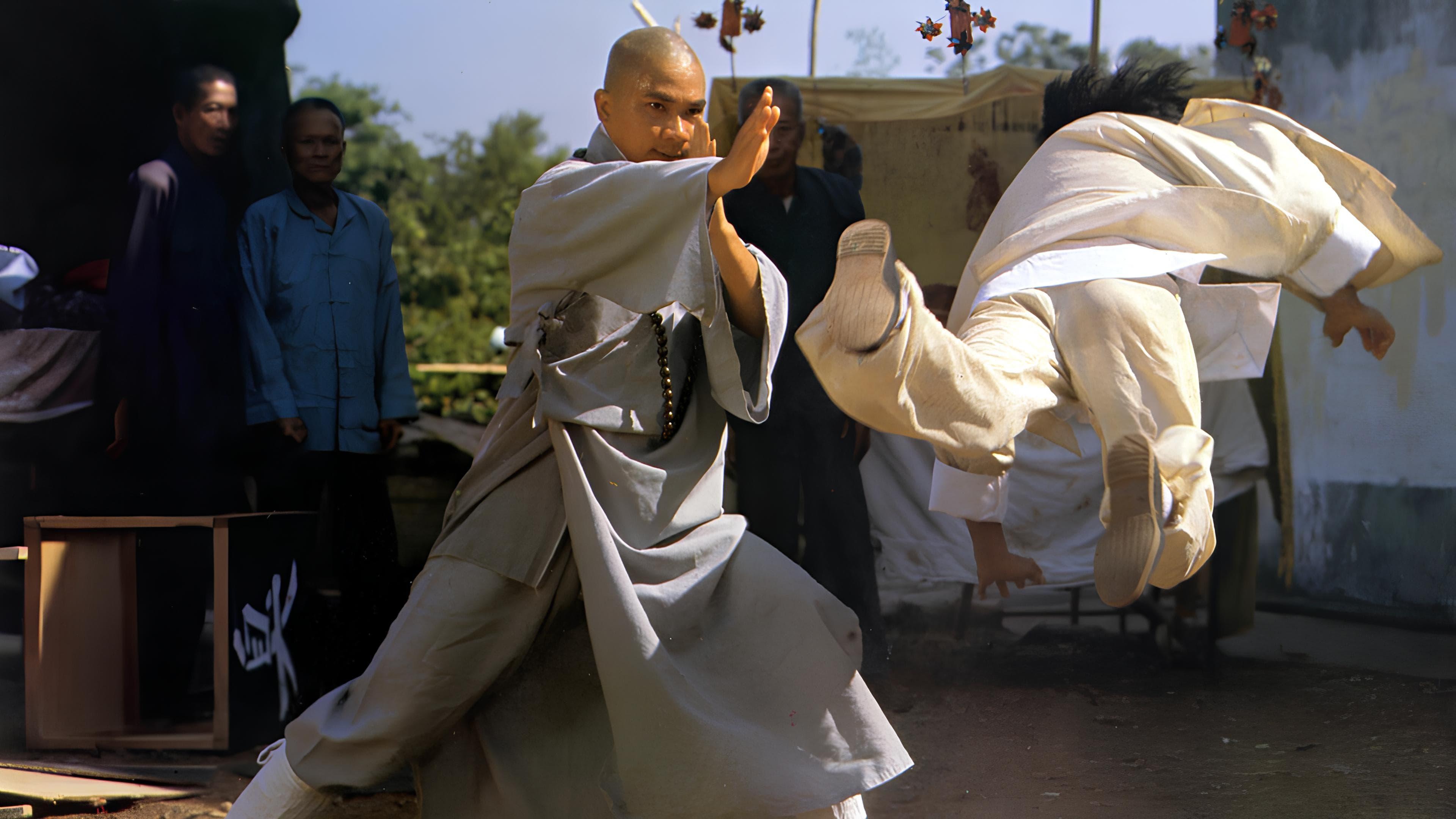 The Buddhist Fist backdrop