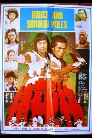 Secret of the Shaolin Poles poster