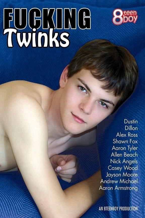 Fucking Twinks poster