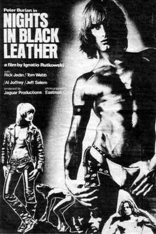 Nights in Black Leather poster