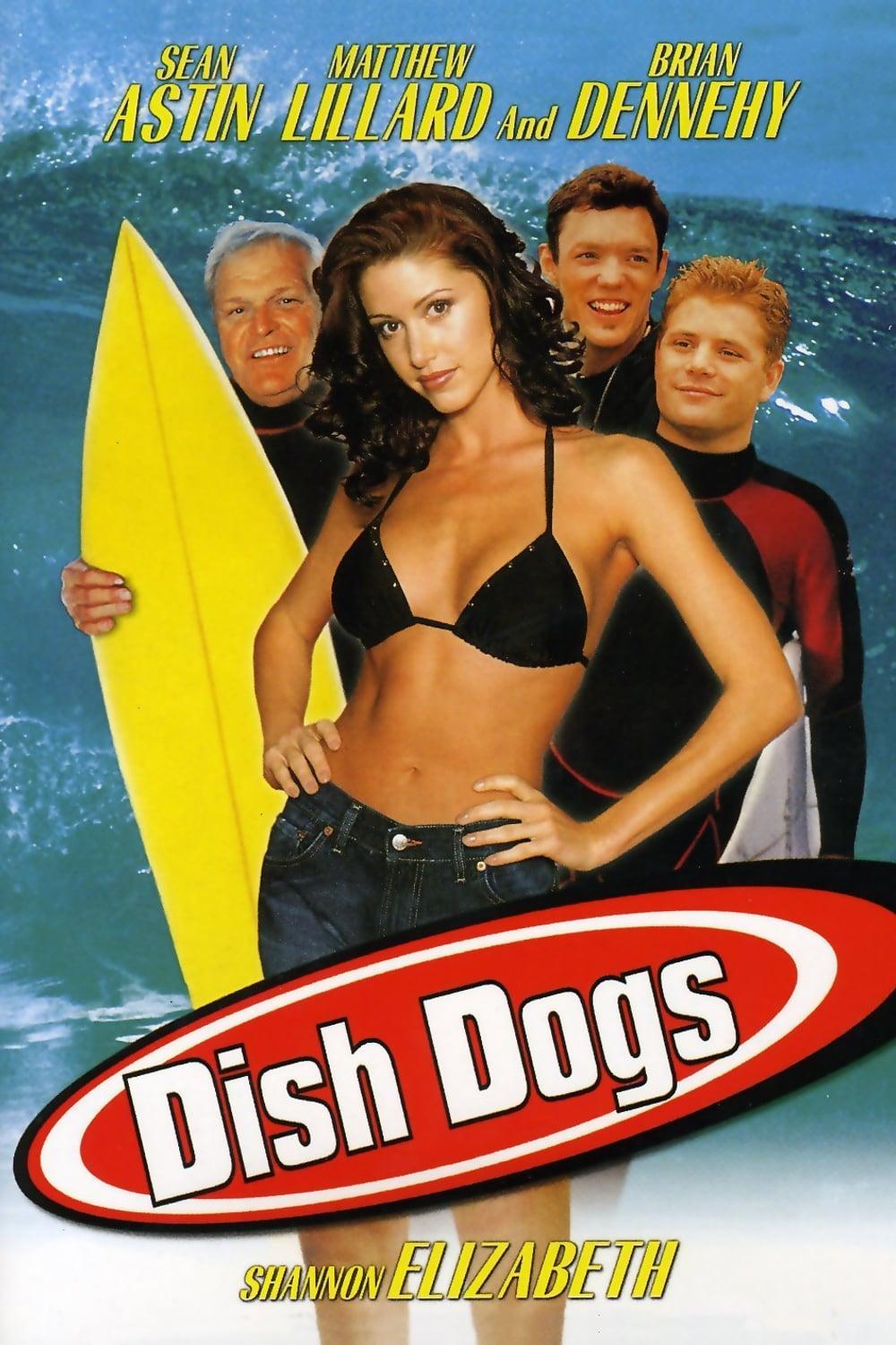 Dish Dogs poster