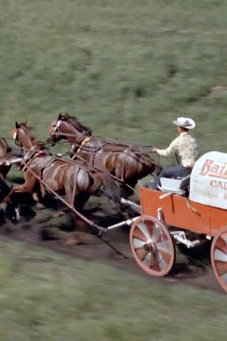 Chuckwagon poster