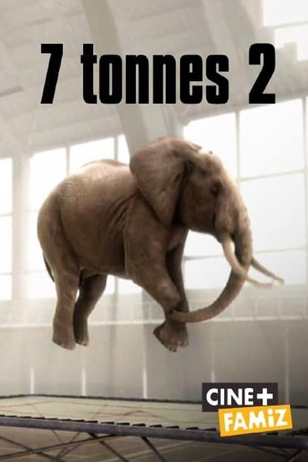 7 Tonnes 2 poster