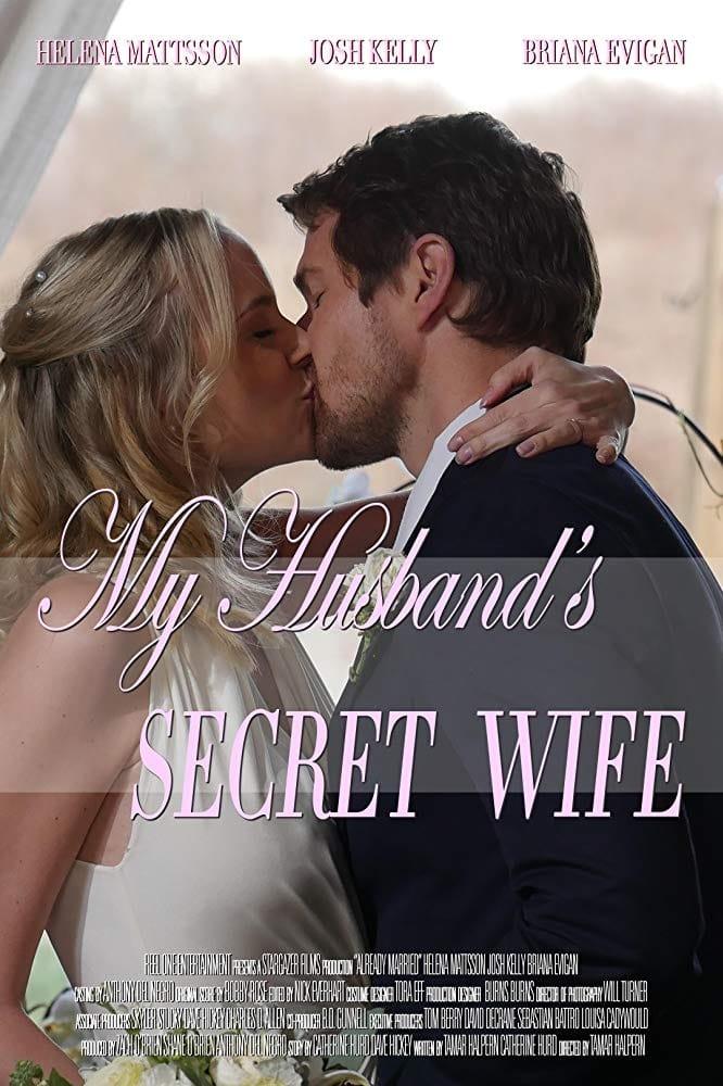 My Husband's Secret Wife poster