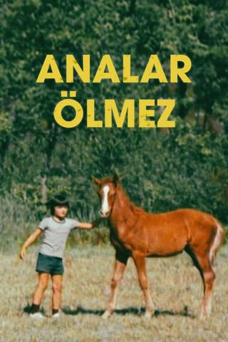 Analar Ölmez poster