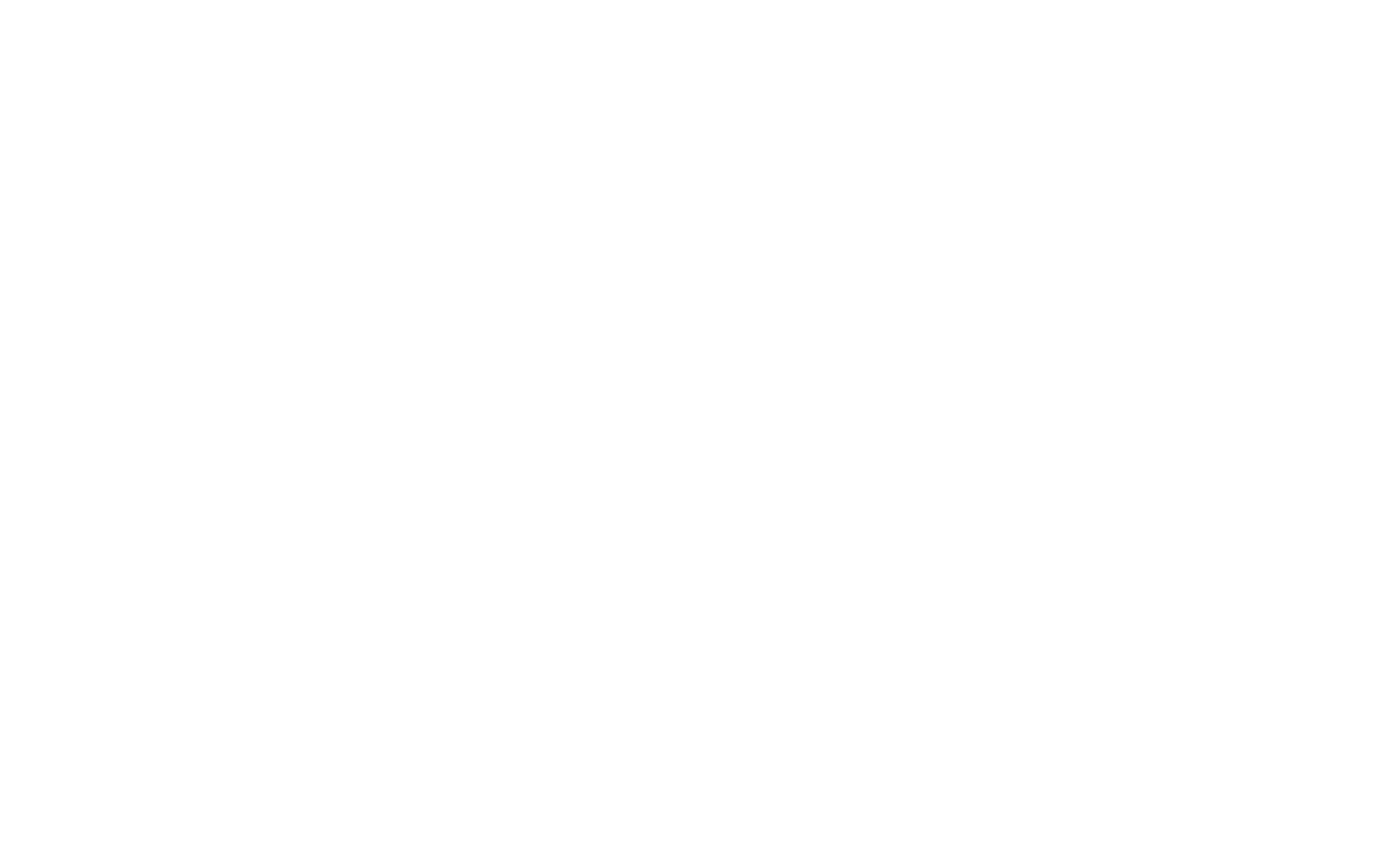 Rick and Morty: The Anime logo