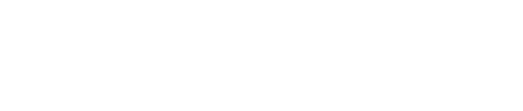 Texas Storm Squad logo