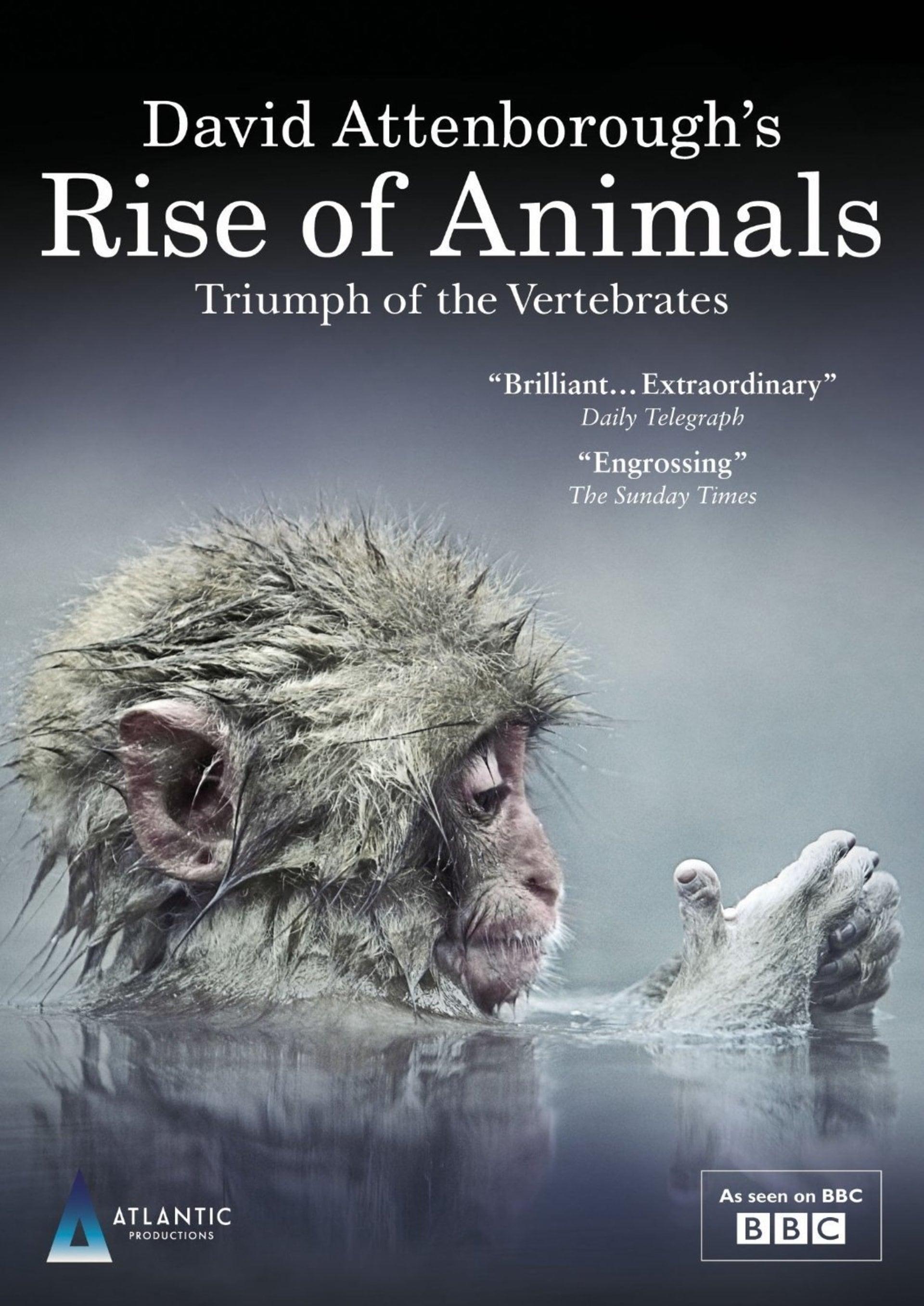David Attenborough's Rise of Animals: Triumph of the Vertebrates poster