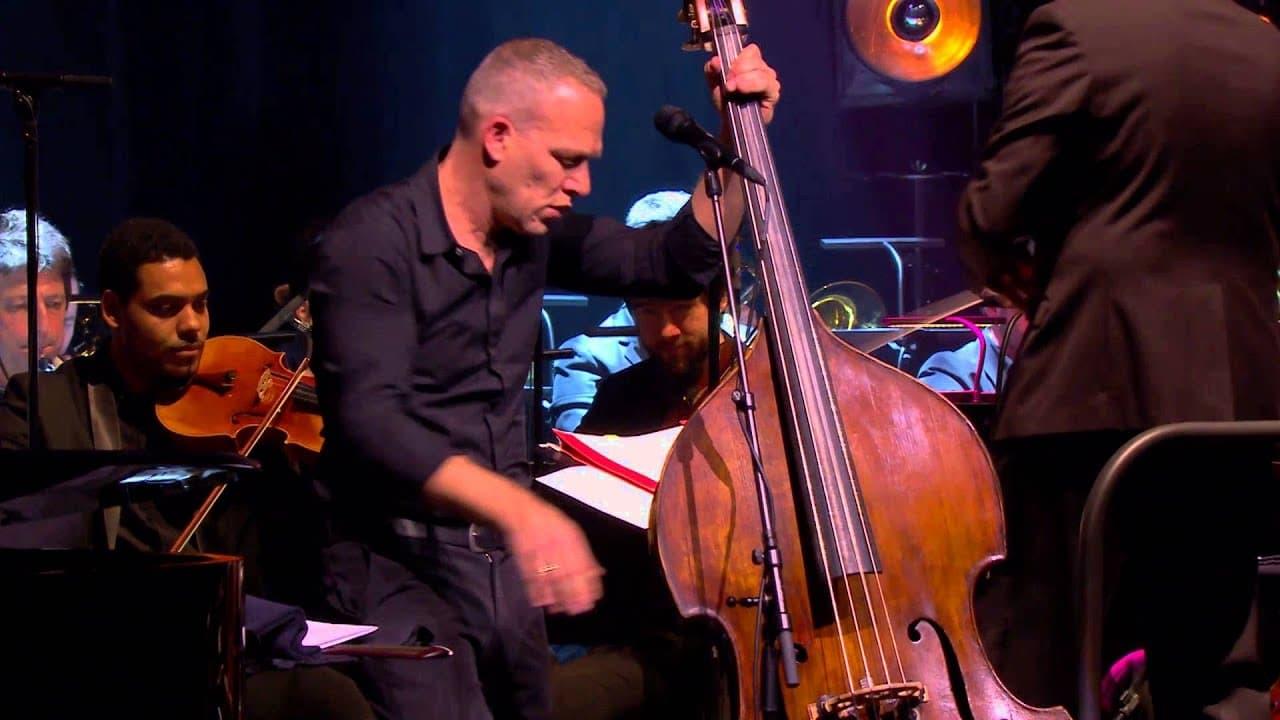 Avishai Cohen Symphony backdrop