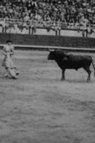 Corrida profesional Plaza Belmonte poster