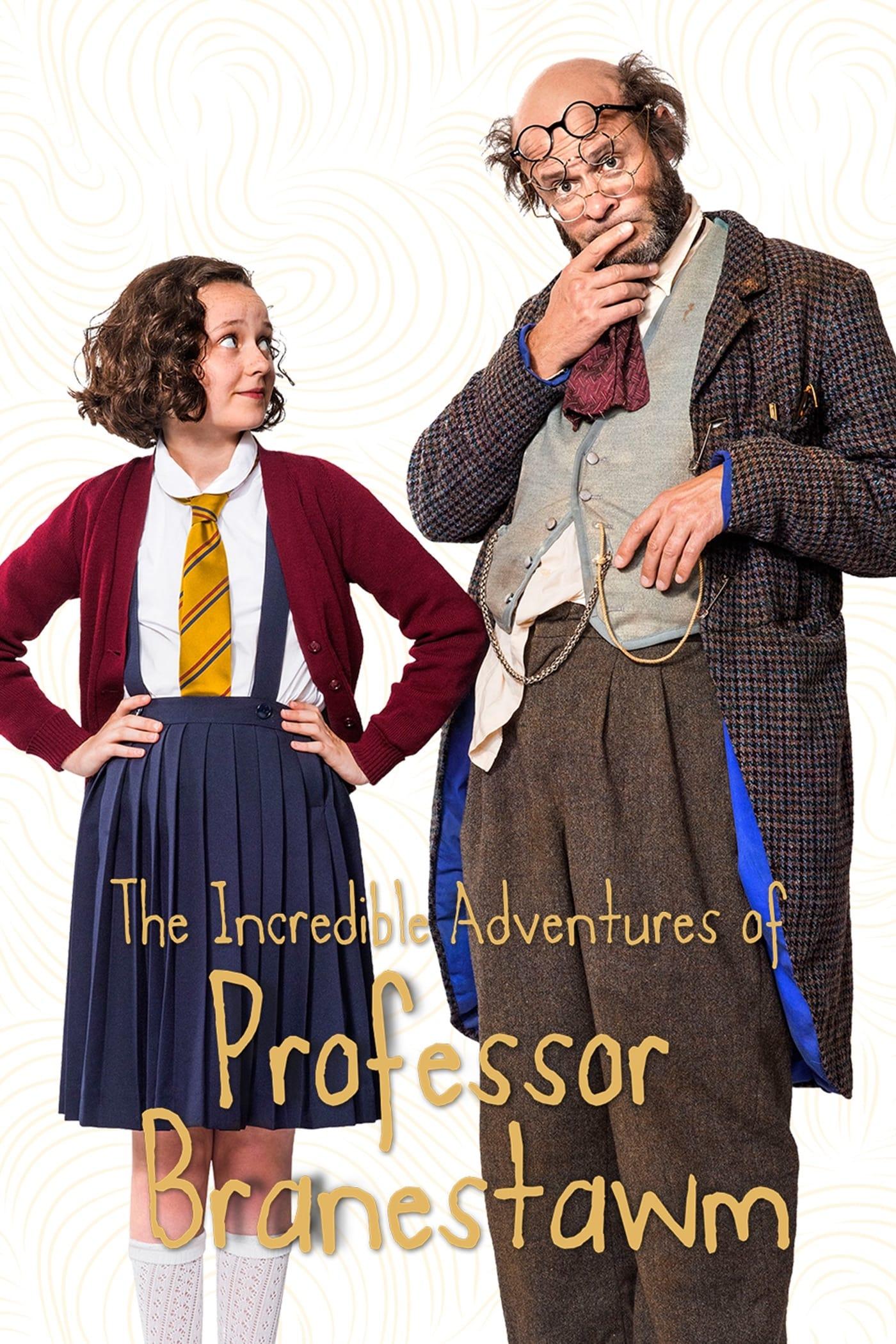 The Incredible Adventures Of Professor Branestawm poster