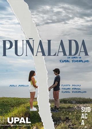 Puñalada poster