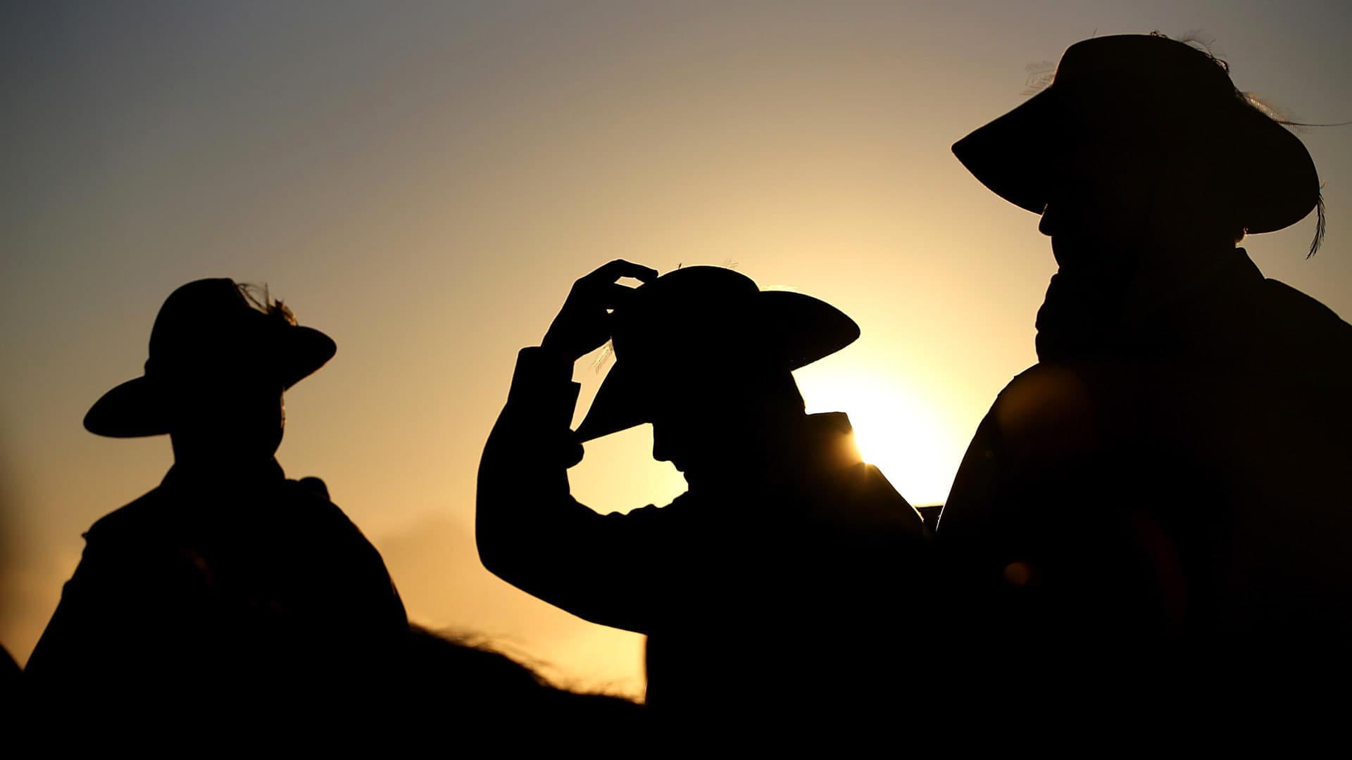 Anzacs backdrop