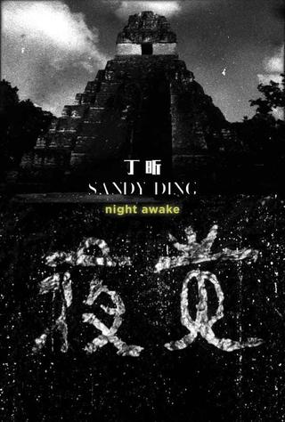 Night Awake poster