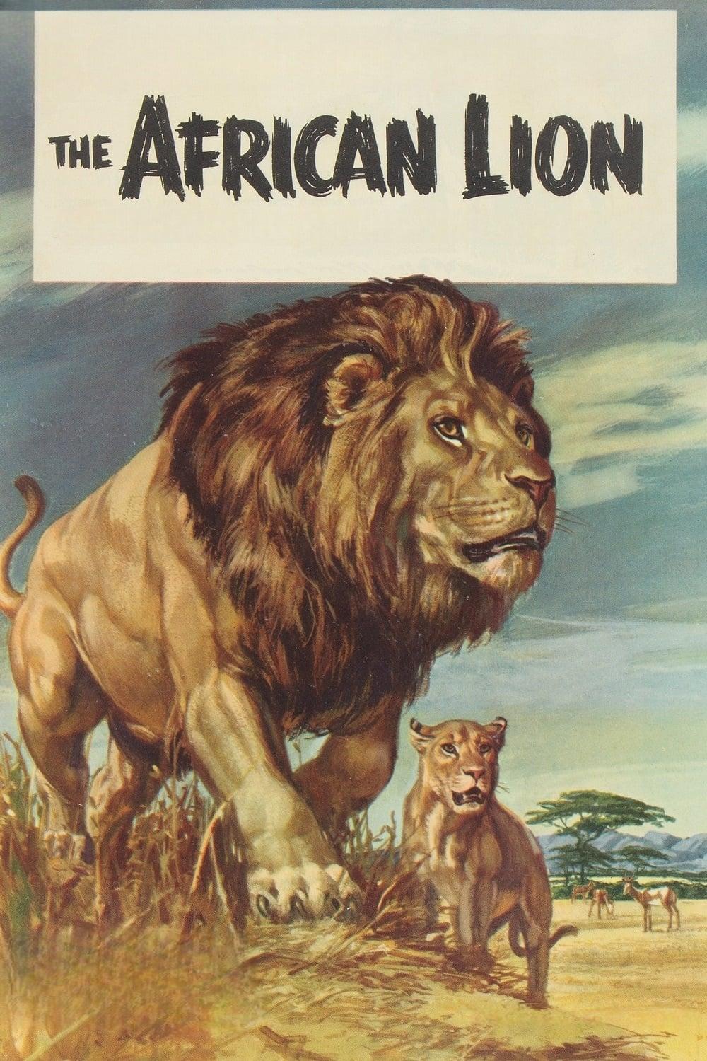 The African Lion poster