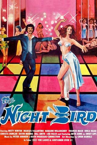 The Night Bird poster