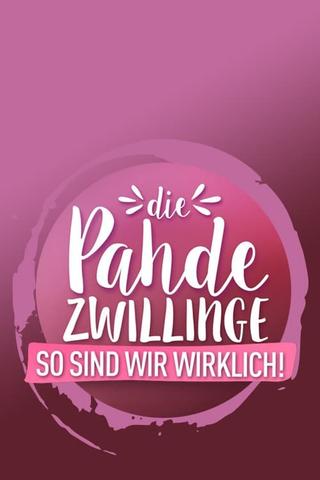 Die Pahde-Zwillinge poster