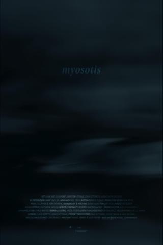 Myosotis poster