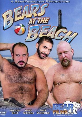 Bears at the Beach poster
