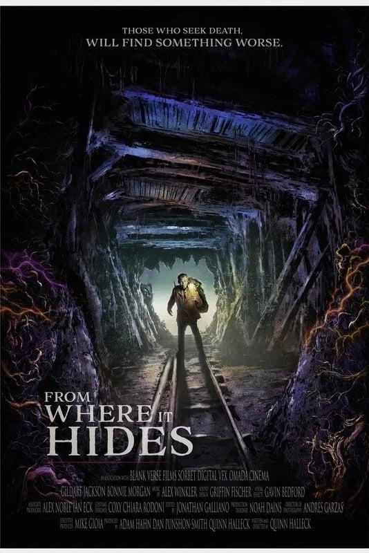 From Where it Hides poster