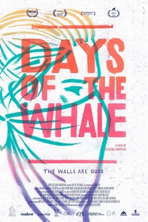 Days of the Whale poster