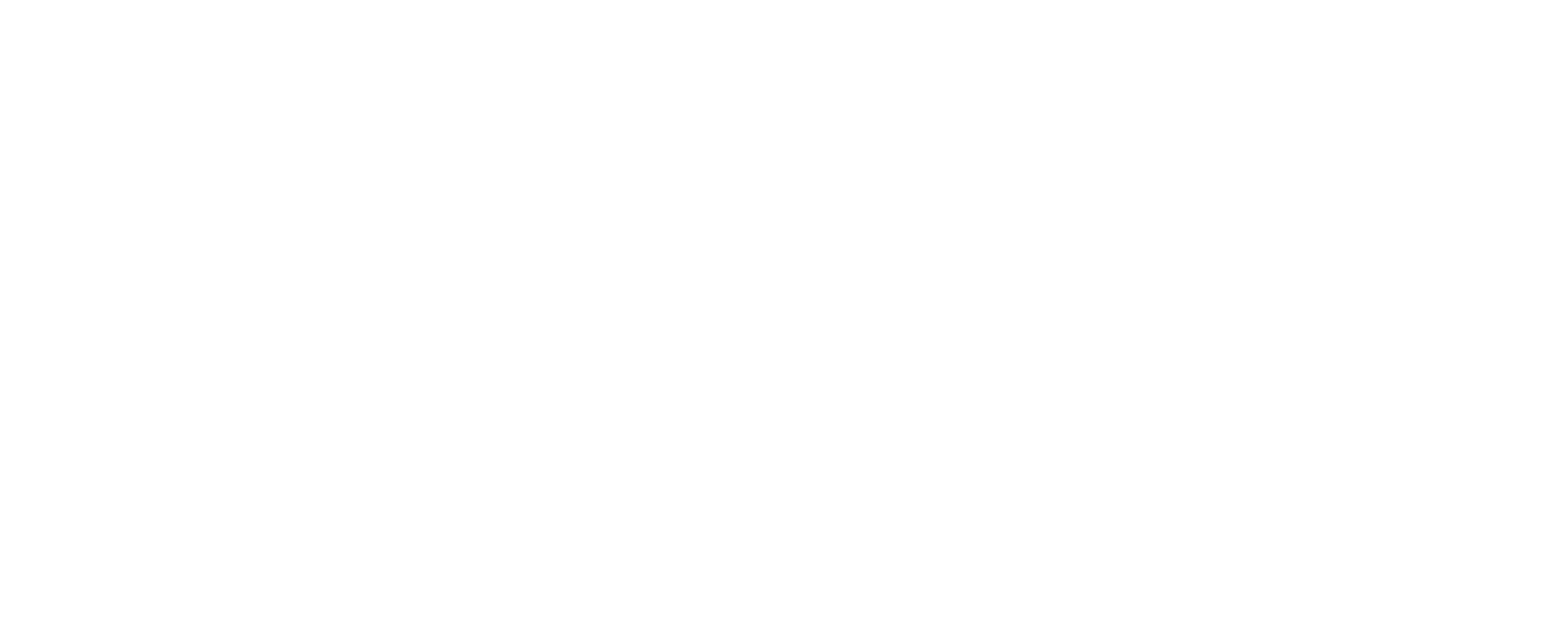 Not Cinderella's Type logo