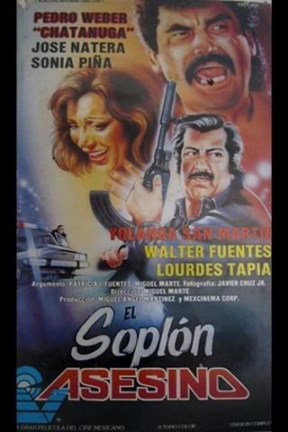 El soplón asesino poster