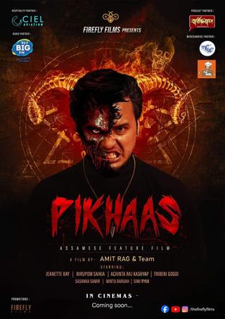 Pikhaas poster