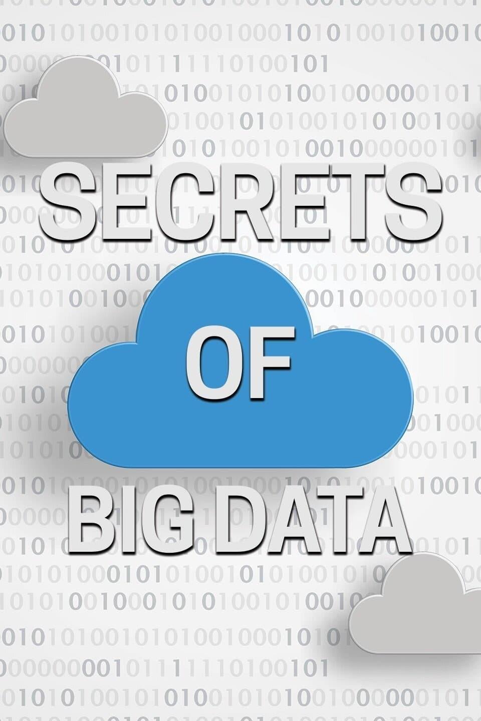 Secrets of Big Data poster