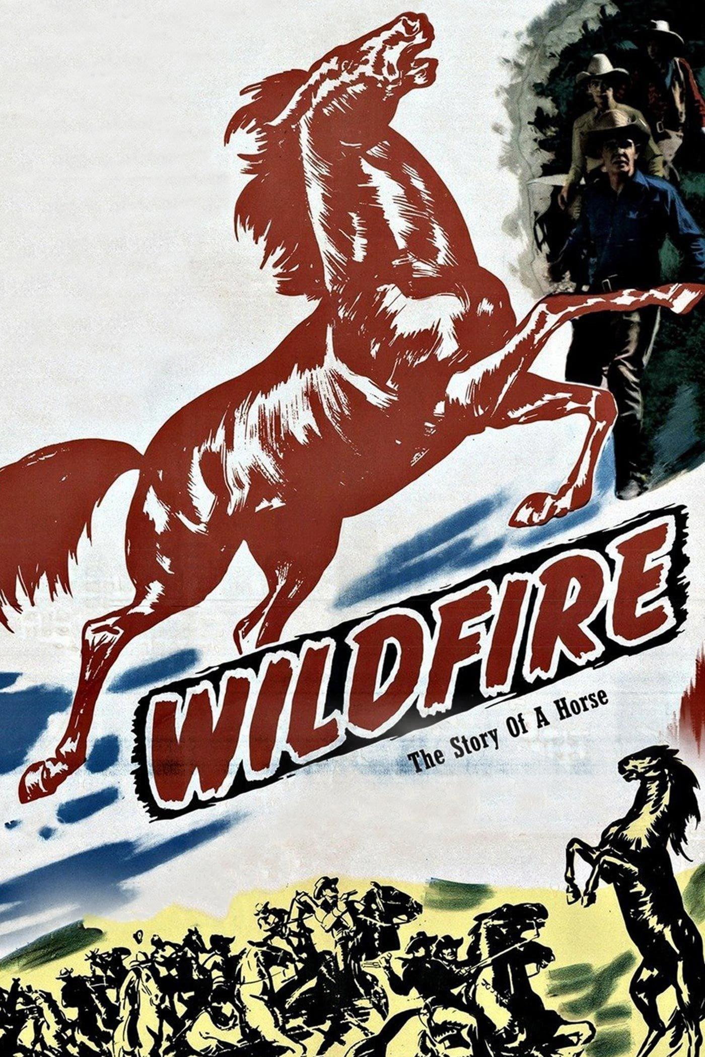 Wildfire poster