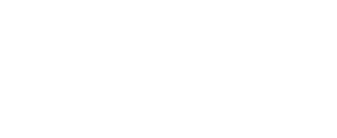 Perfect Sisters logo