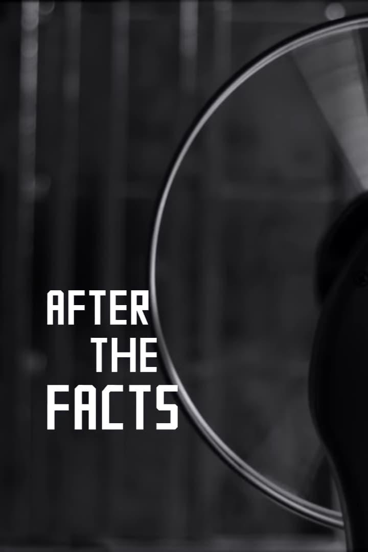 After the Facts poster